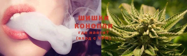 трава Новодвинск