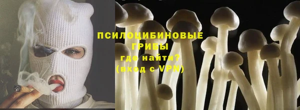 трава Новодвинск