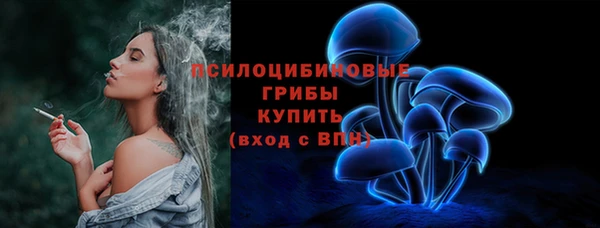 а пвп мука Новозыбков