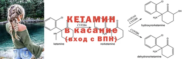 трава Новодвинск