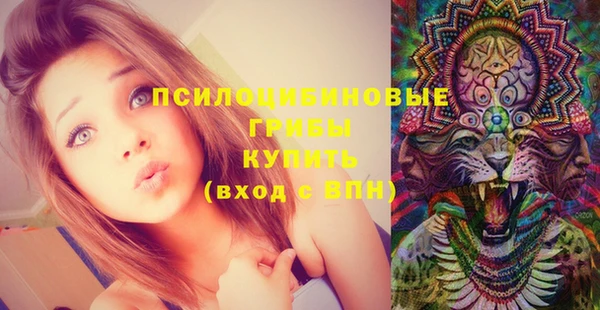 а пвп мука Новозыбков