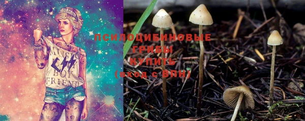 а пвп мука Новозыбков