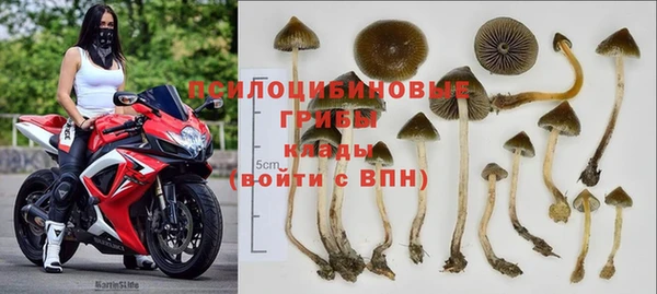 трава Новодвинск