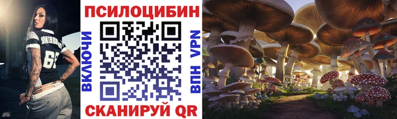 Псилоцибиновые грибы MAGIC MUSHROOMS  Купить  Сосногорск 